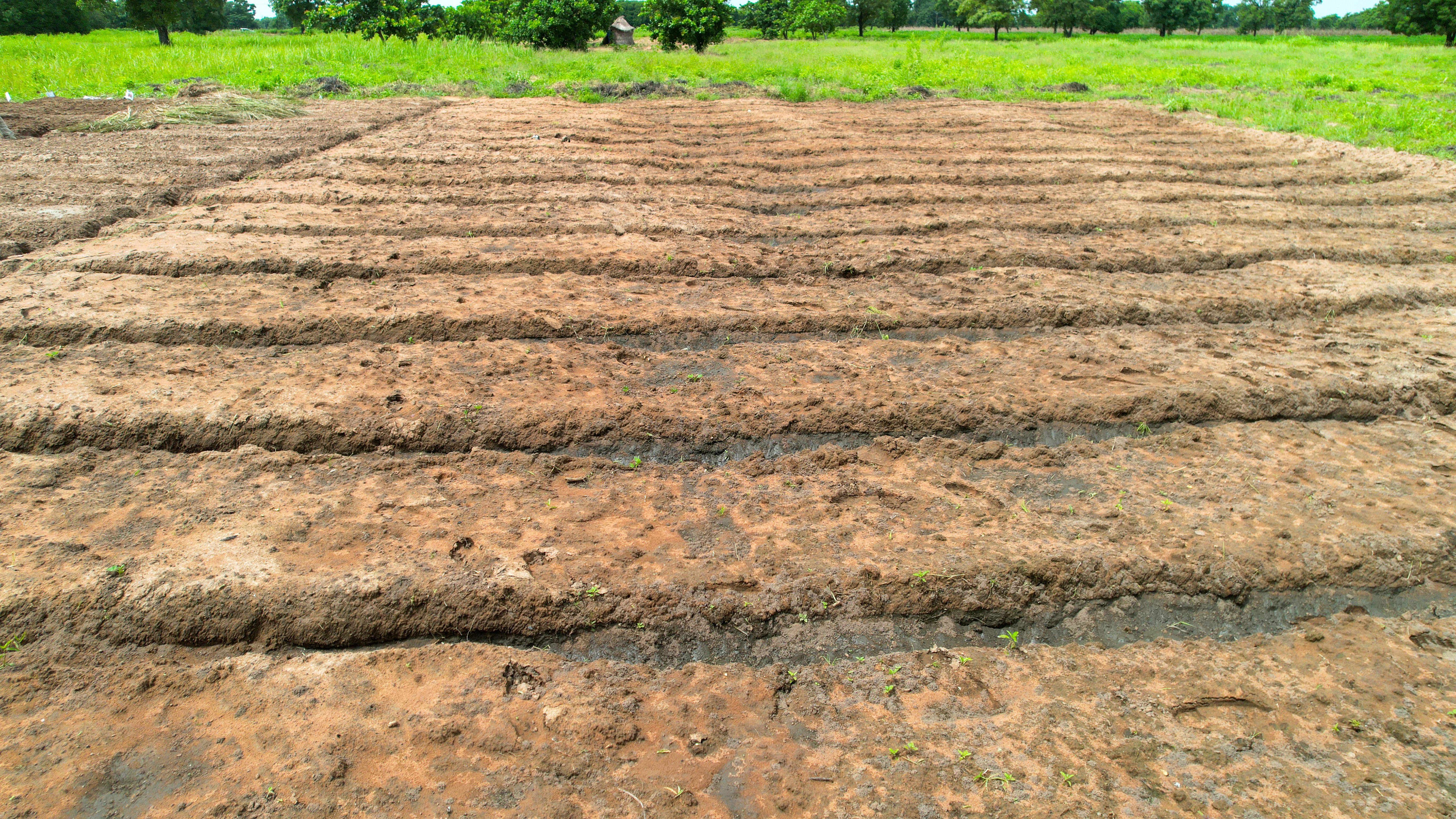 On Field Photography